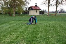 Eroef22klei (15)