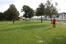 DSC 8305